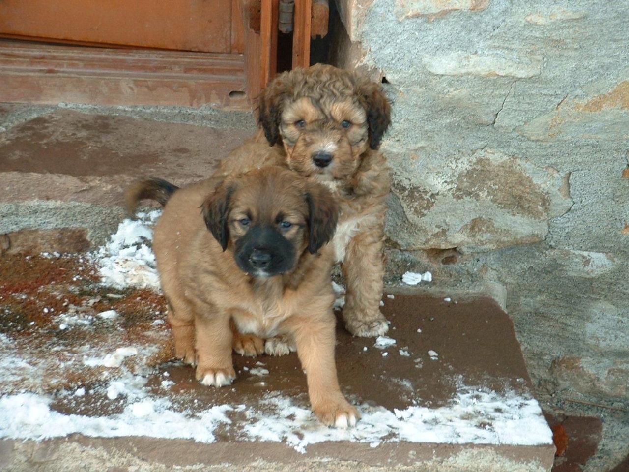 Casa Rural Haitzetxea Zugarramurdi Zewnętrze zdjęcie