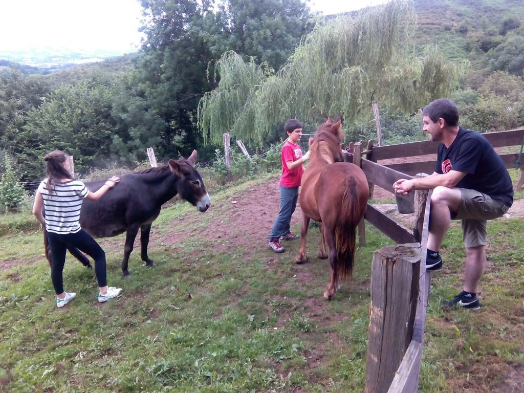 Casa Rural Haitzetxea Zugarramurdi Zewnętrze zdjęcie