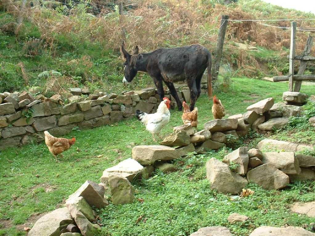 Casa Rural Haitzetxea Zugarramurdi Zewnętrze zdjęcie