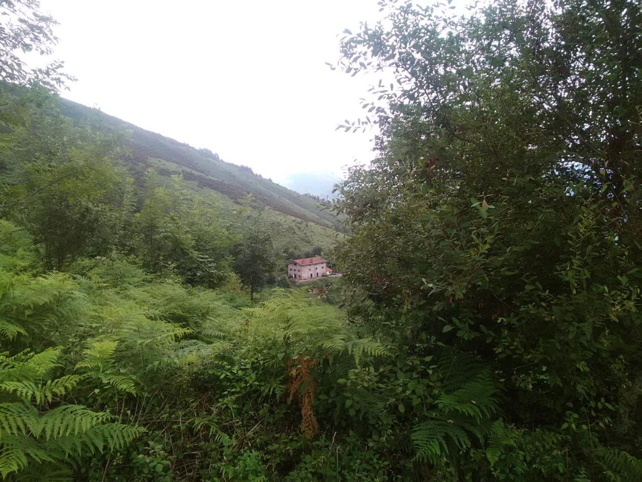 Casa Rural Haitzetxea Zugarramurdi Zewnętrze zdjęcie